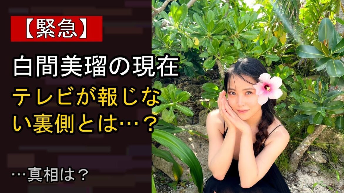 白間美瑠の近況がここまで話題になる理由は?