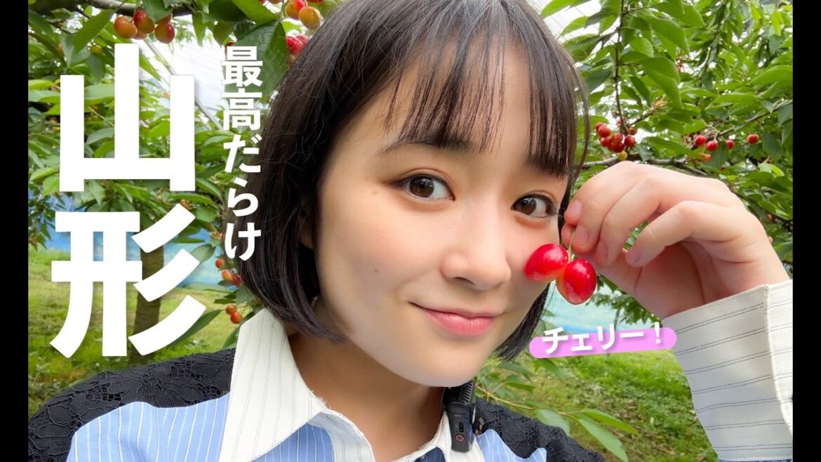 【山形Vlog】絶品さくらんぼを堪能してきました🍒