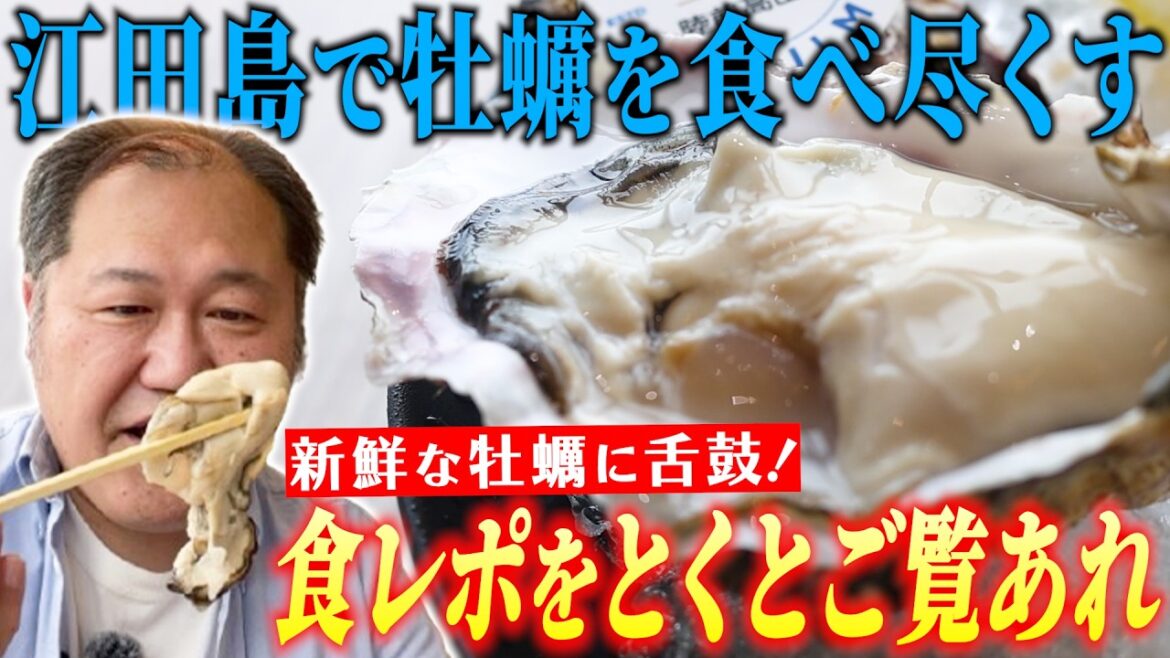 【広島グルメ】生牡蠣が年中食べられる!絶景ロケーションで濃厚な牡蠣料理を楽しめる「OYSTER CAFE江田島」へ!!【三浦マイルド】