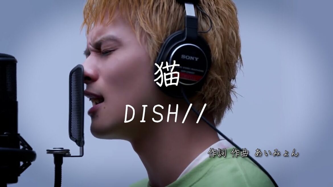 猫 – DISH// | 歌詞あり