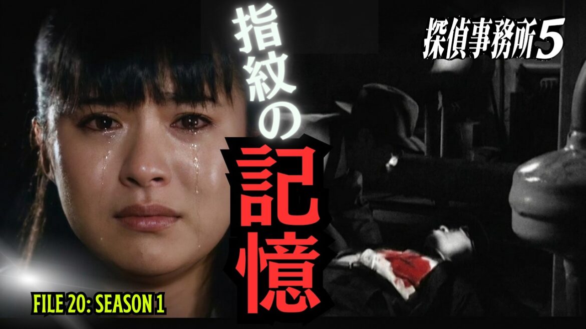 【サスペンスドラマ】両親の死の謎に迫る!指紋の記憶#貫地谷しほり#探偵事務所5