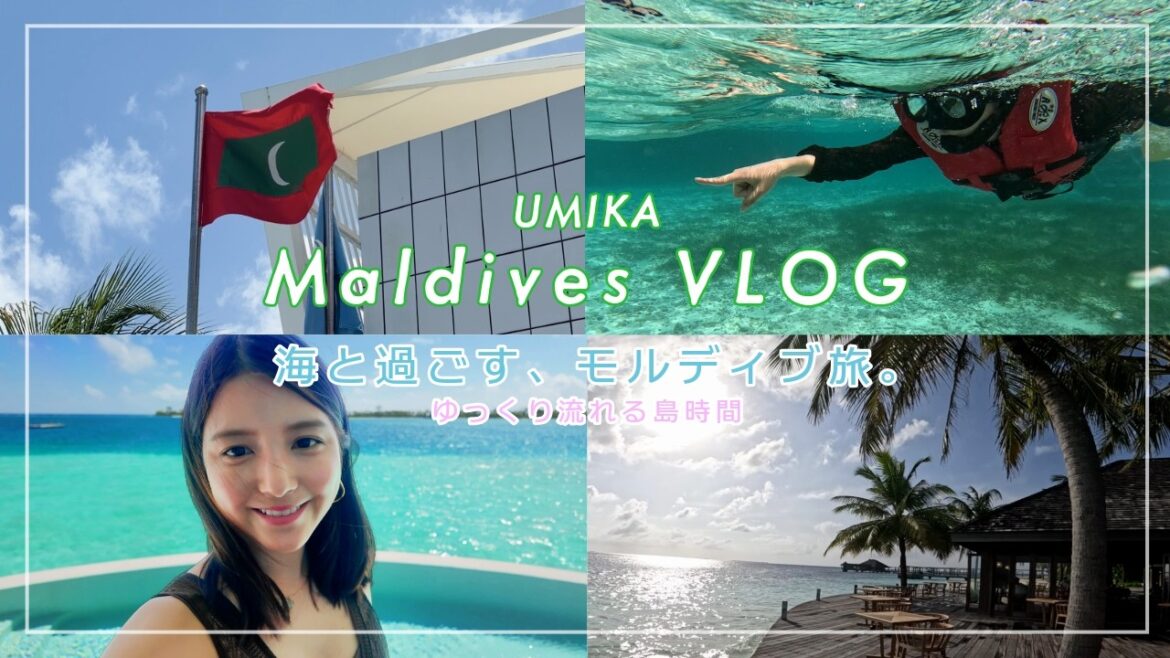 【モルディブvlog】思い出として記録🐬🏝️