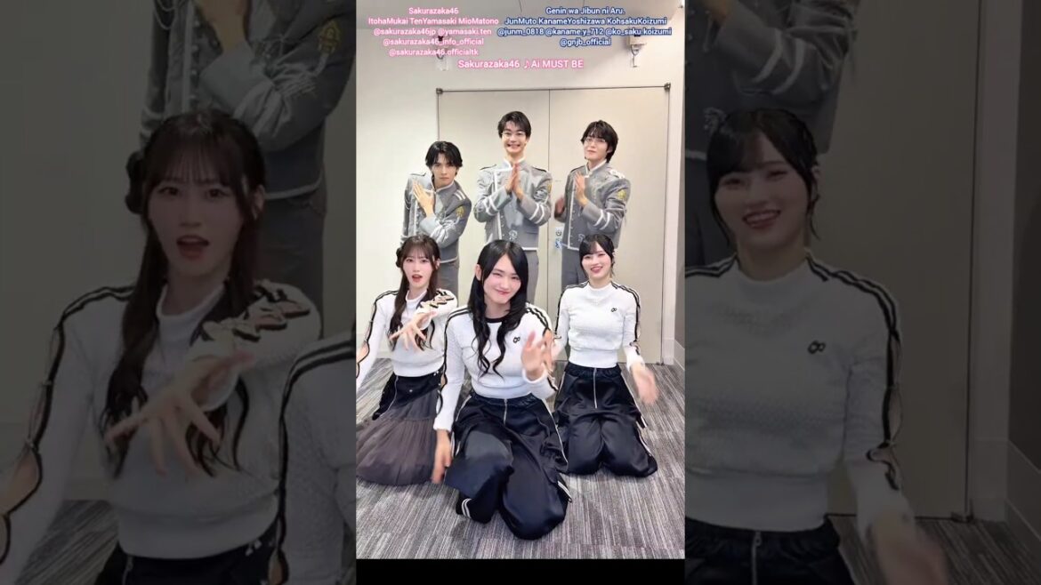 櫻坂46×原因は自分にある。向井純葉 山﨑天 的野美青、武藤潤さん吉澤要人さん小泉光咲さんで『愛MUST BE』踊ってみた♪コラボありがとうございました♪